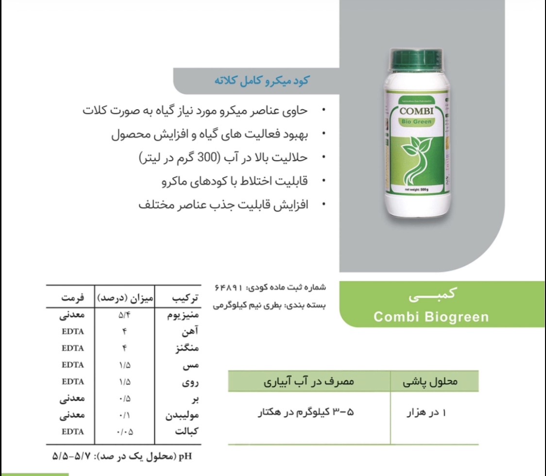 کمبی