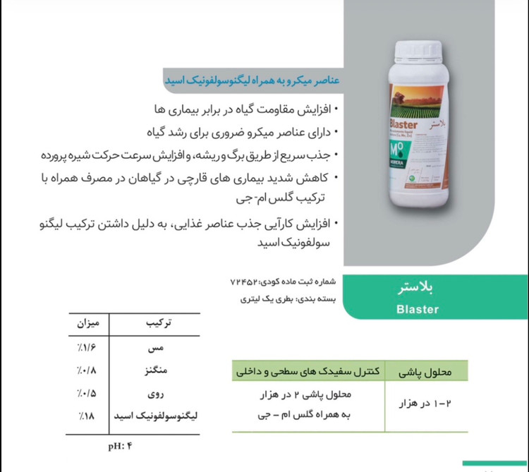 بلاستر
