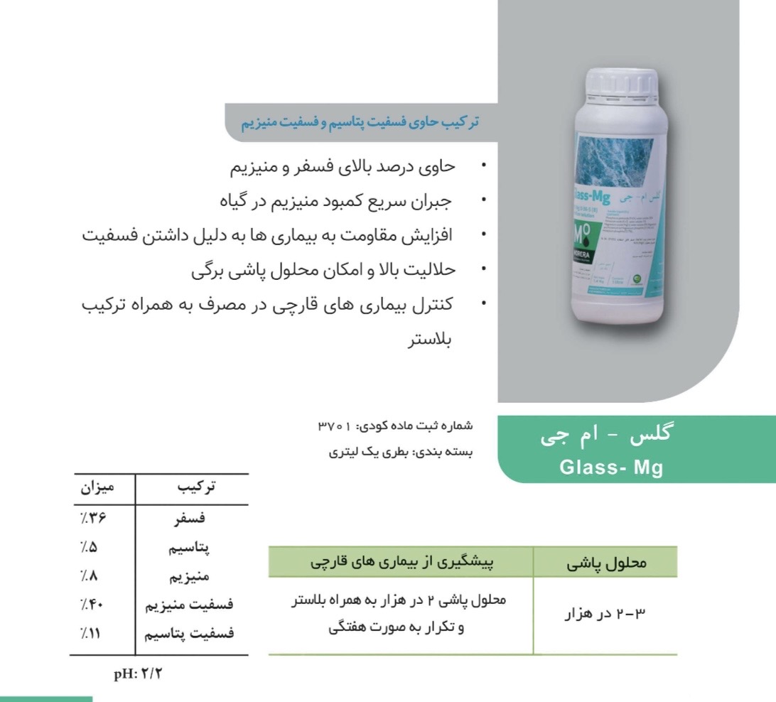 گلس ام جی