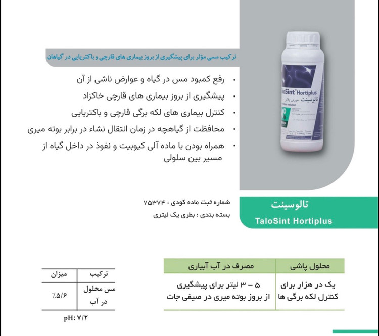 تالوسینت