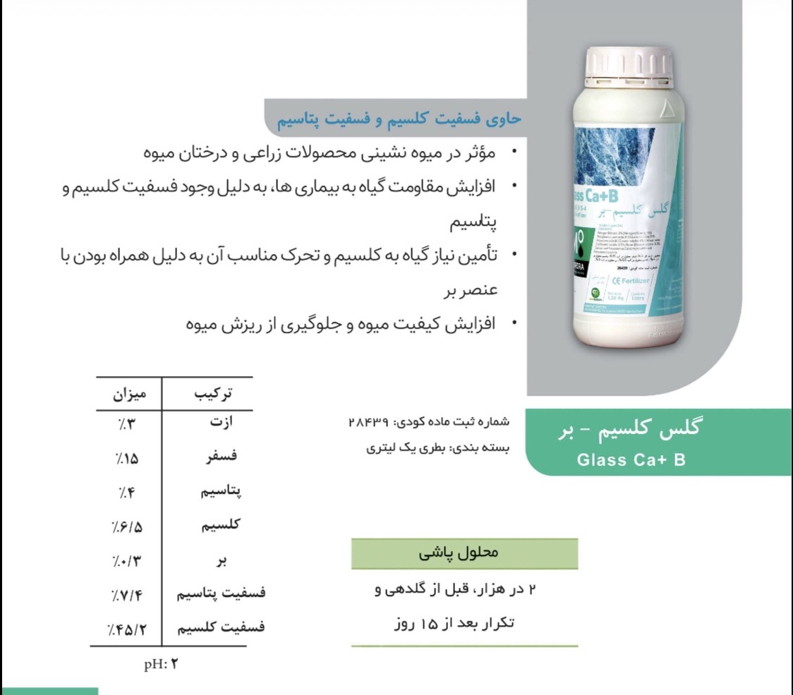 گلس کلسیم بر