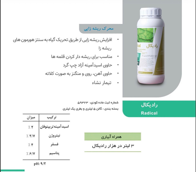 رادیکال