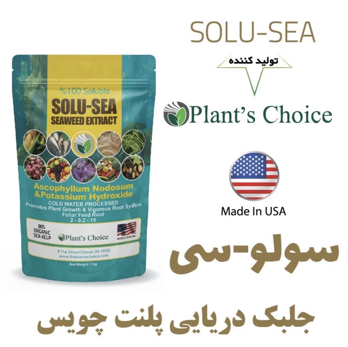 جلبک سولو_سی پلنت چویس