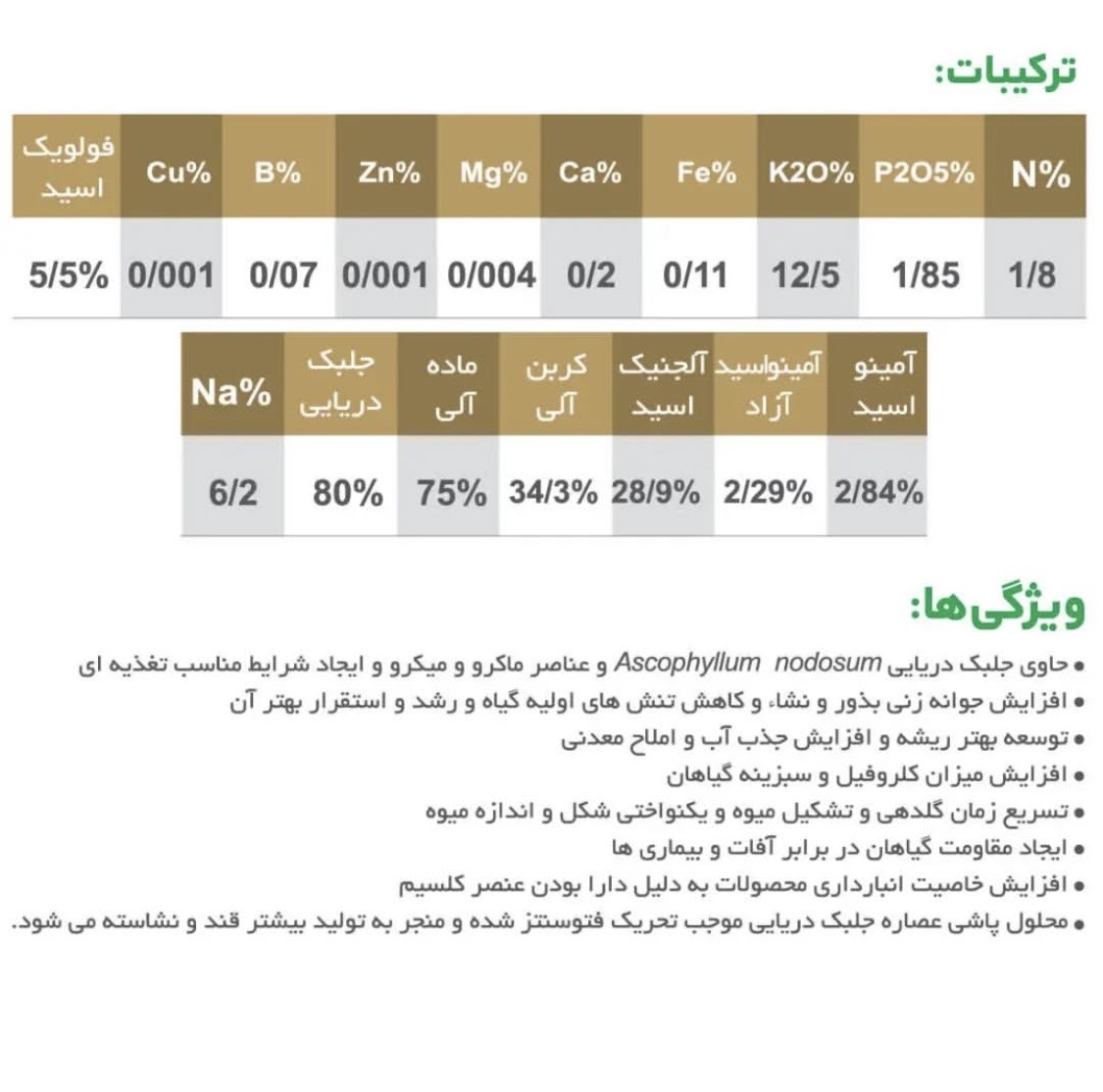 جلبک سولو_سی پلنت چویس